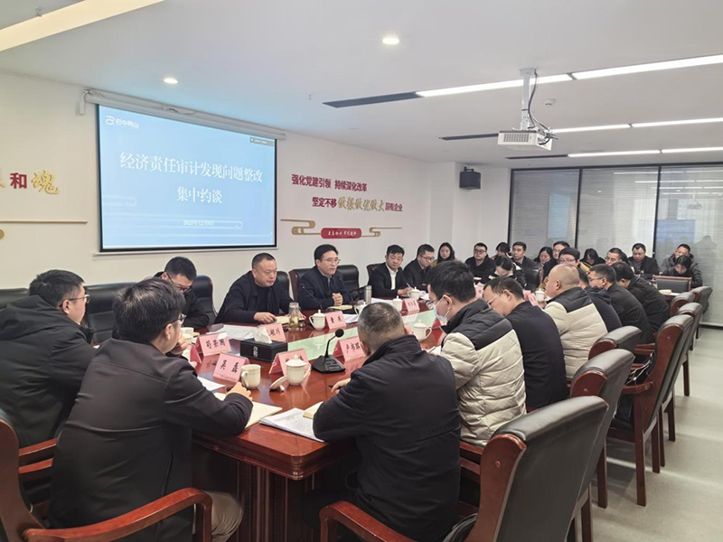 巴中兩山公司召開經(jīng)濟(jì)責(zé)任審計(jì)發(fā)現(xiàn)問題整改集中約談會